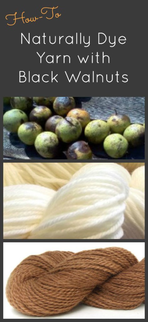 Yarn dyed with black walnuts