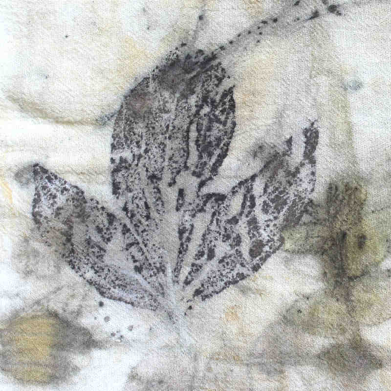 Black Walnut Leaf printed on cotton
