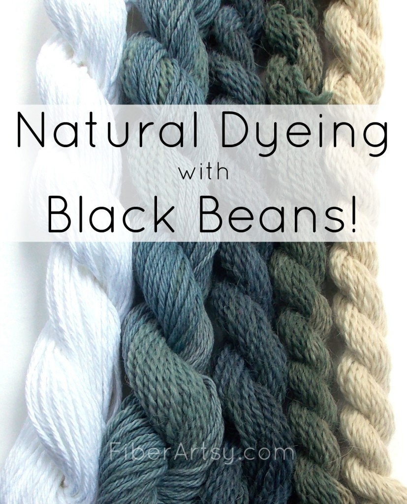Natural Dyeing with Black Beans, a FiberArtsy.com Tutorial