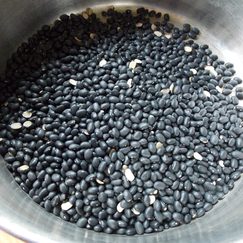 Soaking the black beans to make black bean dye for yarn