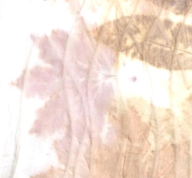 Eco Print Leaves on Silk Chiffon, a FiberArtsy.com Tutorial
