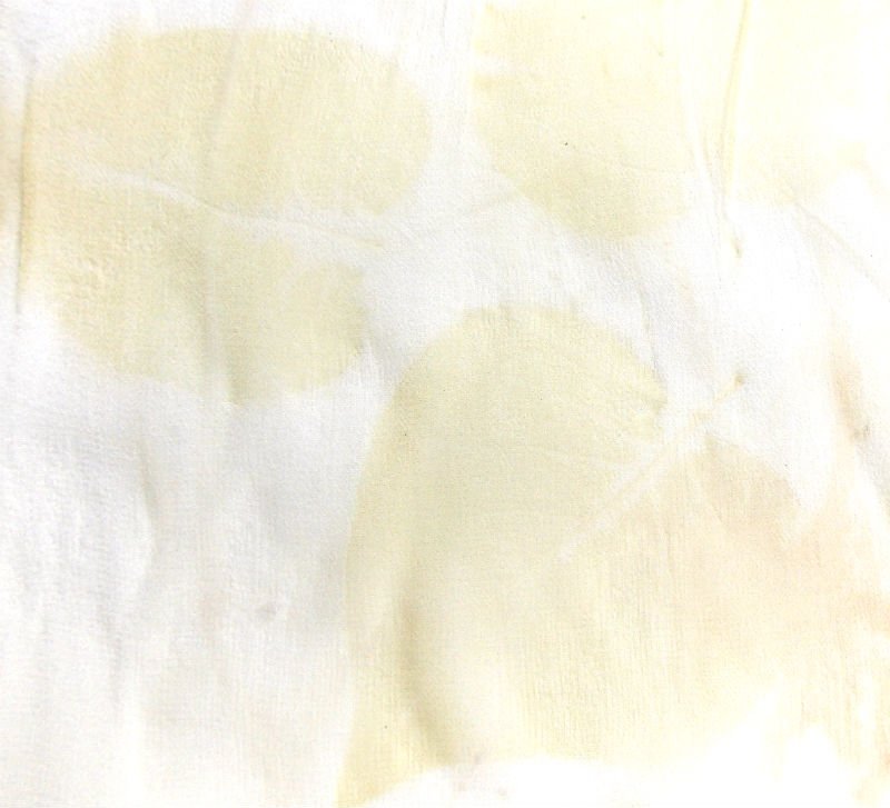 Eco Printing on Silk Chiffon, a FiberArtsy.com Tutorial