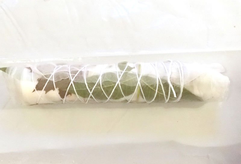 Rolled up bundle for eco printing