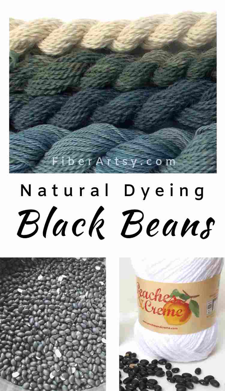 Natural Dyeing with Black Beans