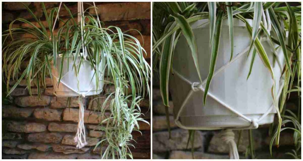 DIY Plant Hanger Tutorial