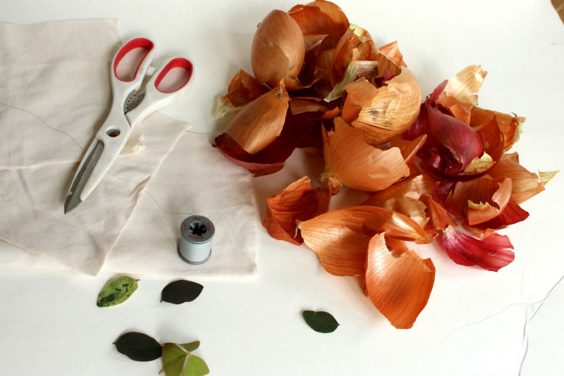 Onion skins, scissors for easter egg dyeing
