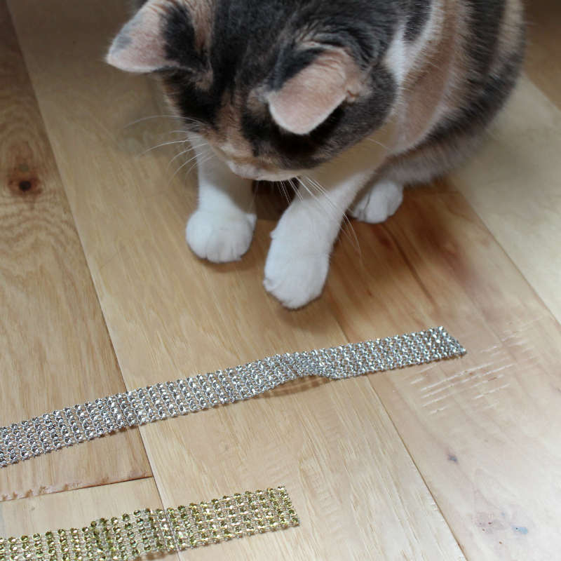 My Kitty inspecting the ribbon I bought for the wine bottle sleeve