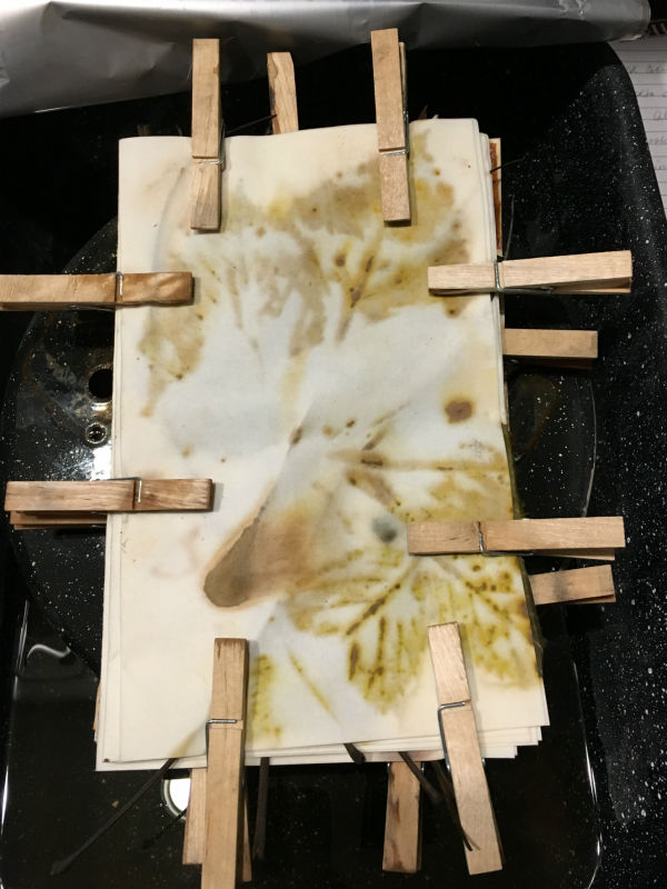 Bundle of eco print papers after steaming