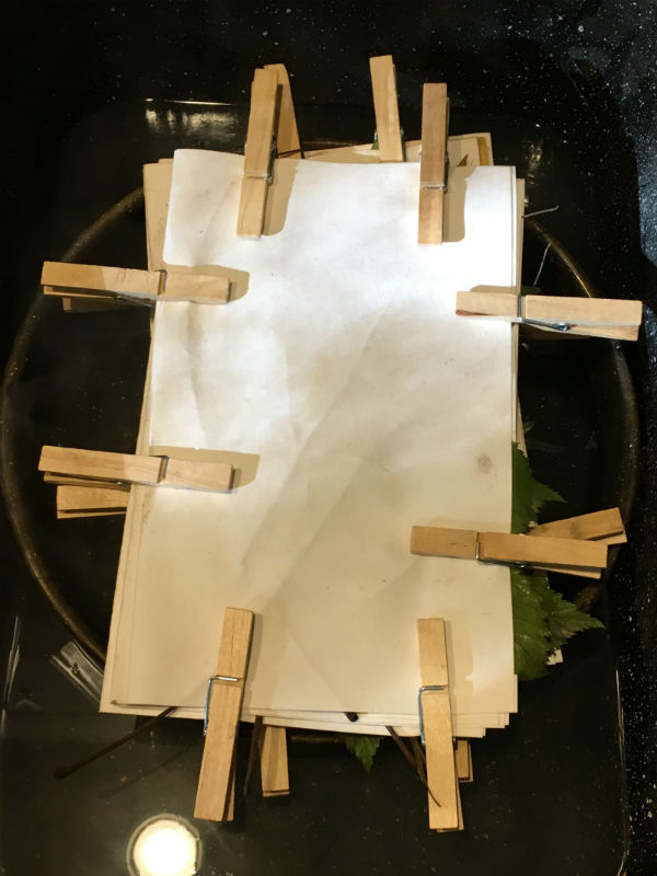Bundle of papers and leaves ready to steam