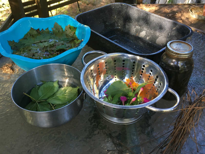 Supplies for eco printing on paper