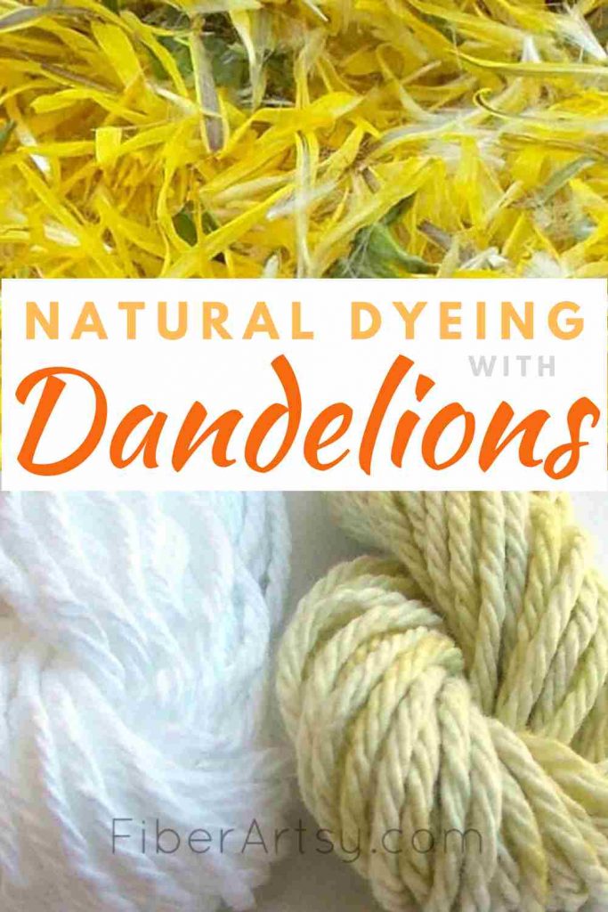 Dyeing Yarn with Dandelions