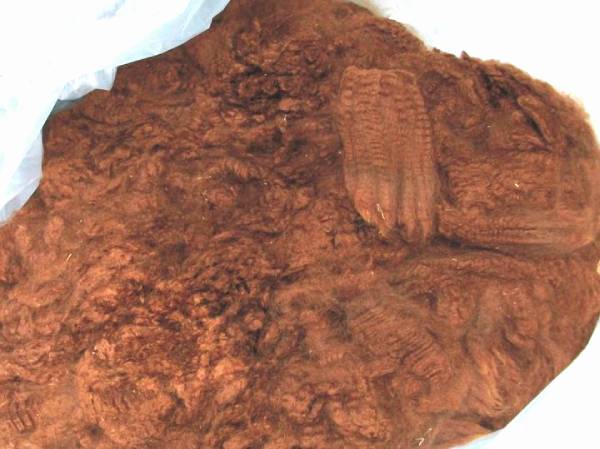 Raw Alpaca Fiber