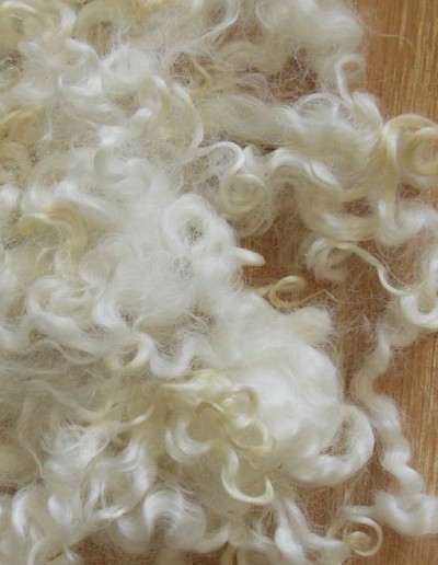 Sheep Wool Locks