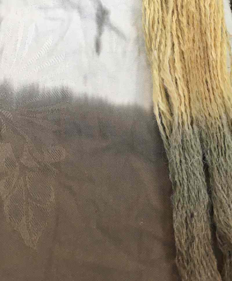 Cotton fabric and wool yarn dyed naturally with Queen Ann's Lace flowers and an Iron Modifier