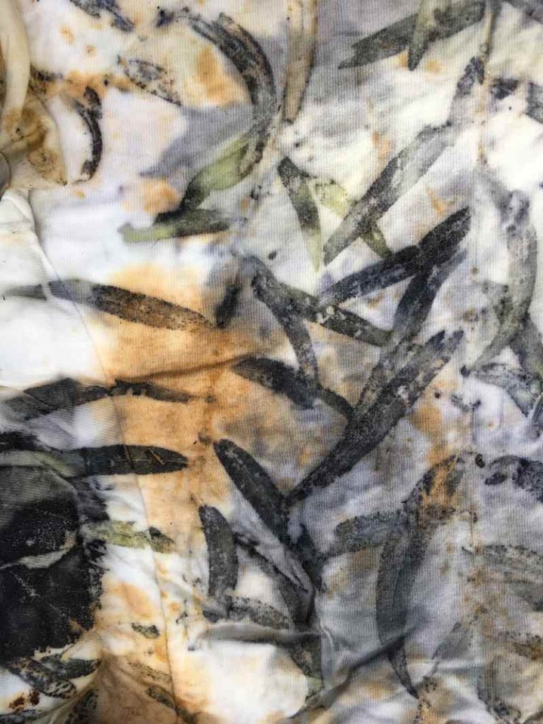 Willow Leaves dipped in Iron Mordant or Modifier and Eco Printed on Cotton Fabric