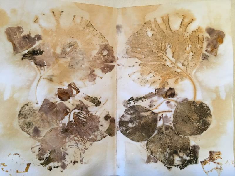 Watercolor Paper Eco Printed with Eucalyptus Leaves, Onion Skins and Liquid Iron