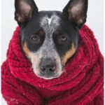 21 Sites for Free Crochet Patterns