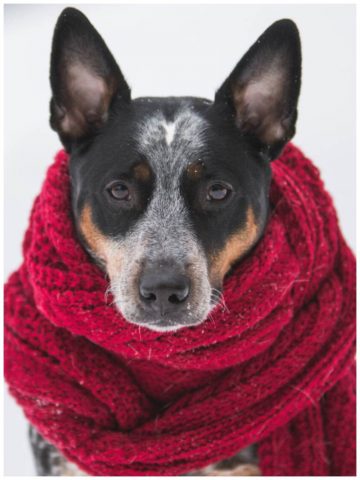 21 Sites for Free Crochet Patterns