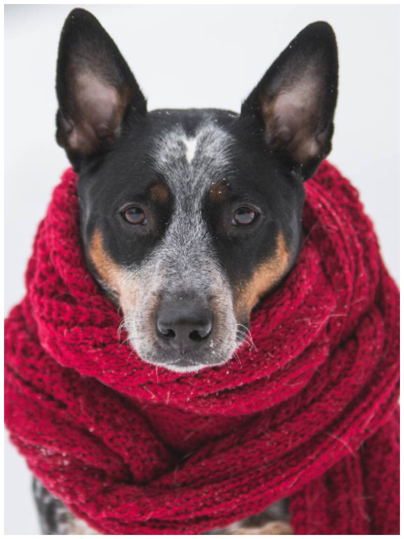 21 Sites for Free Crochet Patterns