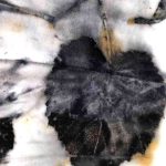 black leaf print on fabric
