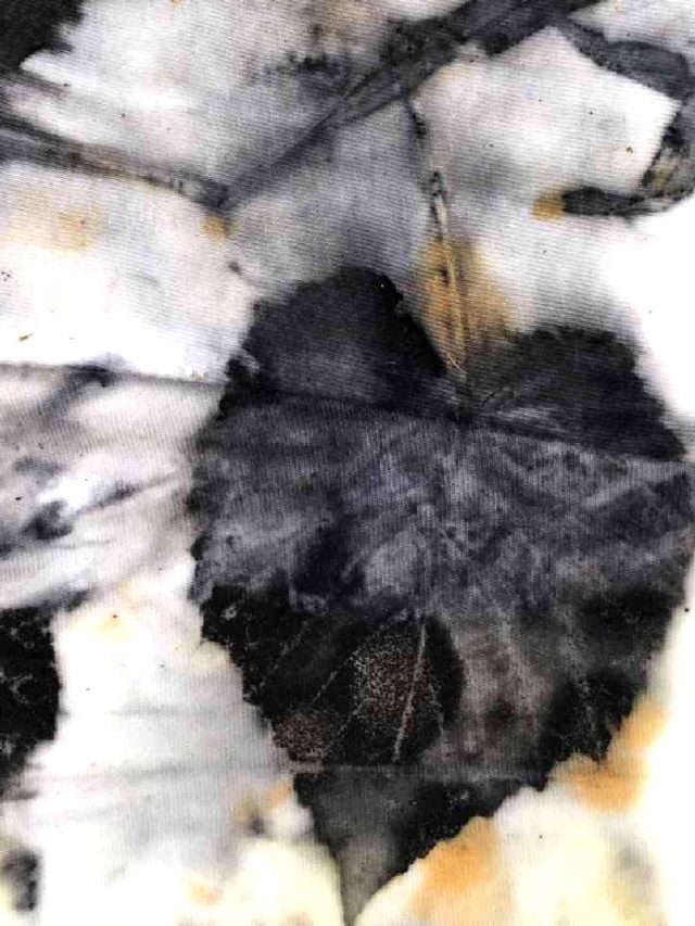 All about ECO PRINTING