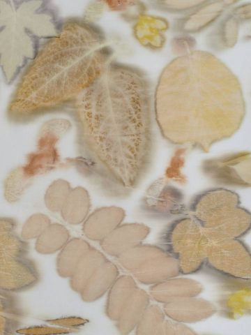 fabric with printed leaves